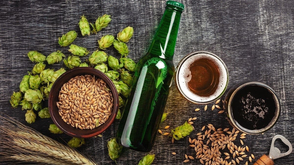 A bottle of beer with green hops, oat, wheat spikelets, opener and glasses with dark and light beer on black scratched chalk board BICSI and AIA credited Optical LAN “Brew & Learn" educational seminars