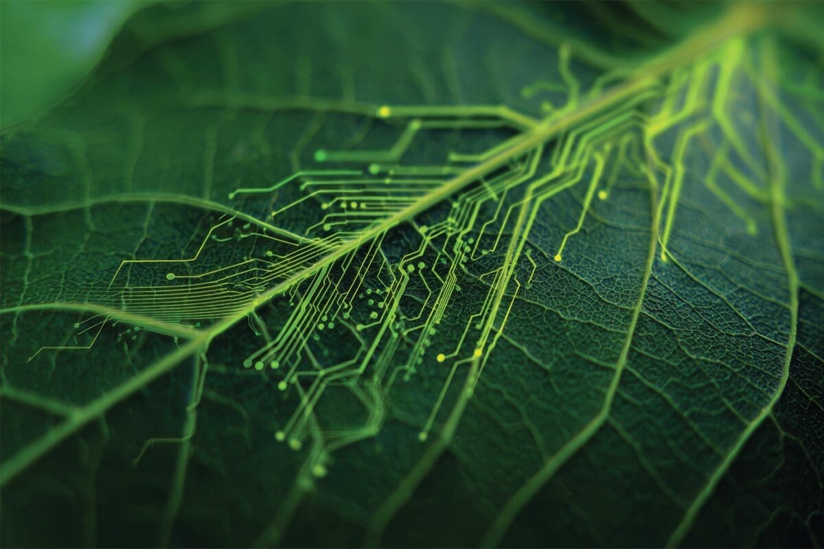 An image of a green leaf with circuit board overlay - graphic